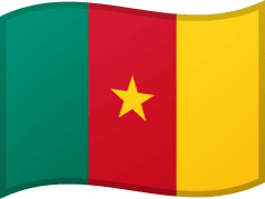 The flag of Cameroon