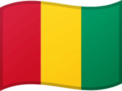 The flag of Guinea