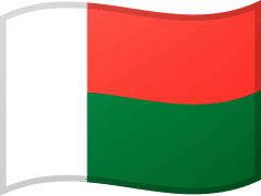 The flag of Madagascar