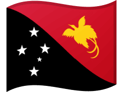 The flag of Papua New Guinea
