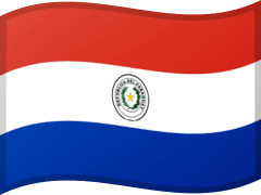 The flag of Paraguay